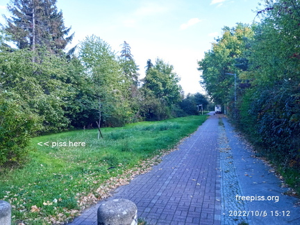 freepiss1